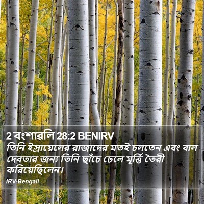 2 বংশাৱলি 28:2 BENIRV Bible Verse Image