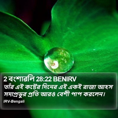 2 বংশাৱলি 28:22 BENIRV Bible Verse Image