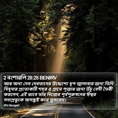 2 বংশাৱলি 28:25 BENIRV Bible Verse Image