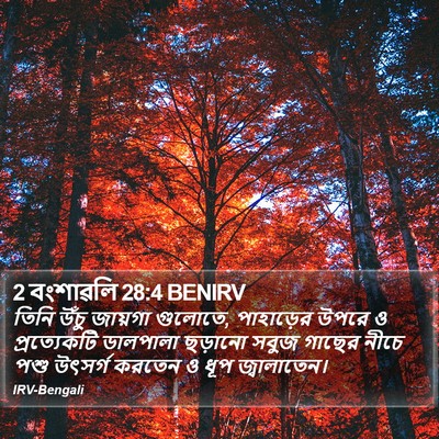 2 বংশাৱলি 28:4 BENIRV Bible Verse Image