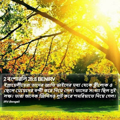 2 বংশাৱলি 28:8 BENIRV Bible Verse Image