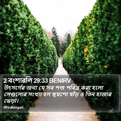 2 বংশাৱলি 29:33 BENIRV Bible Verse Image