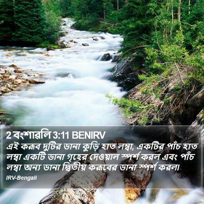 2 বংশাৱলি 3:11 BENIRV Bible Verse Image