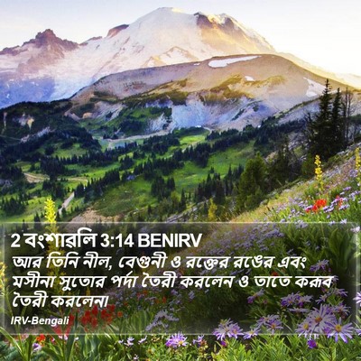 2 বংশাৱলি 3:14 BENIRV Bible Verse Image