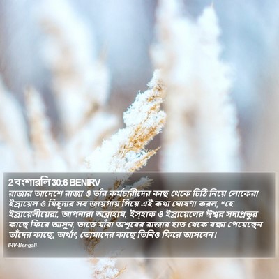2 বংশাৱলি 30:6 BENIRV Bible Verse Image