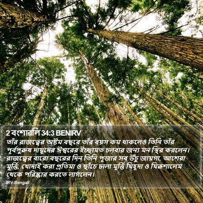 2 বংশাৱলি 34:3 BENIRV Bible Verse Image