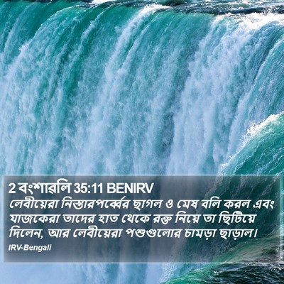 2 বংশাৱলি 35:11 BENIRV Bible Verse Image