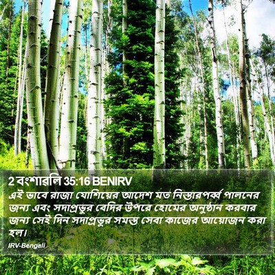 2 বংশাৱলি 35:16 BENIRV Bible Verse Image