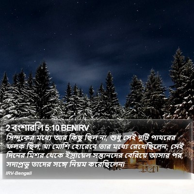 2 বংশাৱলি 5:10 BENIRV Bible Verse Image