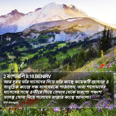 2 বংশাৱলি 8:18 BENIRV Bible Verse Image