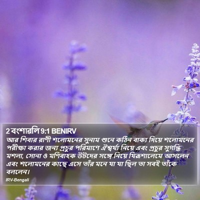 2 বংশাৱলি 9:1 BENIRV Bible Verse Image