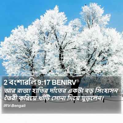 2 বংশাৱলি 9:17 BENIRV Bible Verse Image