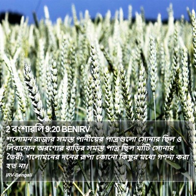 2 বংশাৱলি 9:20 BENIRV Bible Verse Image