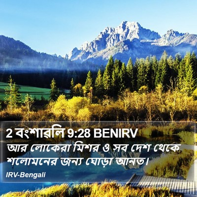 2 বংশাৱলি 9:28 BENIRV Bible Verse Image