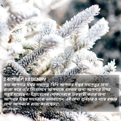 2 বংশাৱলি 9:8 BENIRV Bible Verse Image