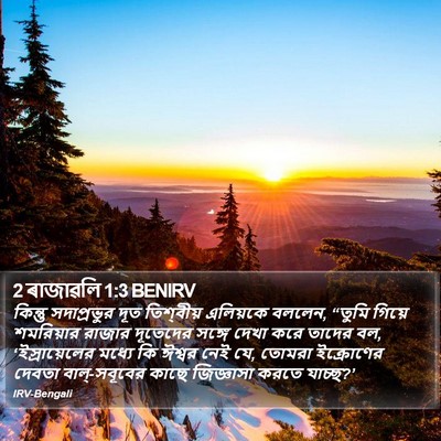 2 ৰাজাৱলি 1:3 BENIRV Bible Verse Image