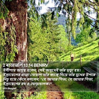 2 ৰাজাৱলি 13:14 BENIRV Bible Verse Image