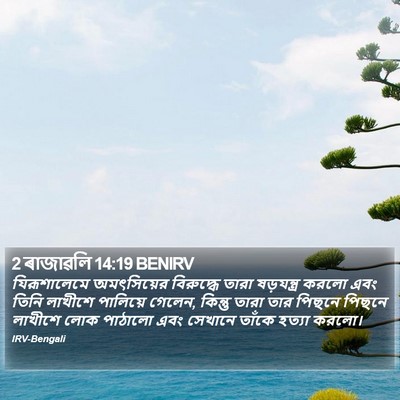 2 ৰাজাৱলি 14:19 BENIRV Bible Verse Image