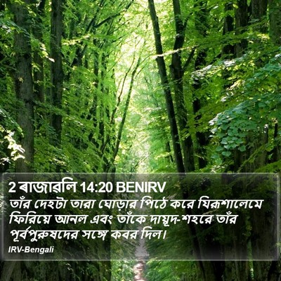 2 ৰাজাৱলি 14:20 BENIRV Bible Verse Image