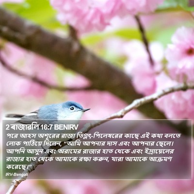 2 ৰাজাৱলি 16:7 BENIRV Bible Verse Image