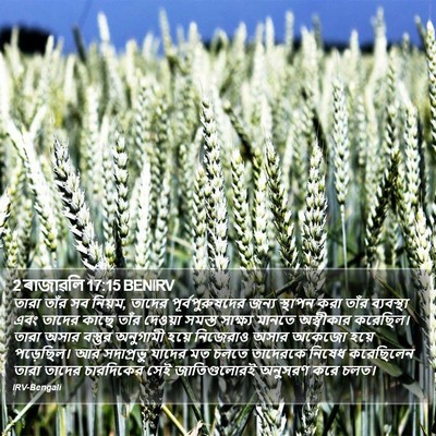 2 ৰাজাৱলি 17:15 BENIRV Bible Verse Image