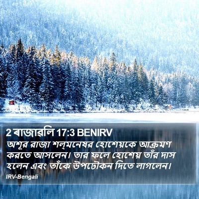 2 ৰাজাৱলি 17:3 BENIRV Bible Verse Image