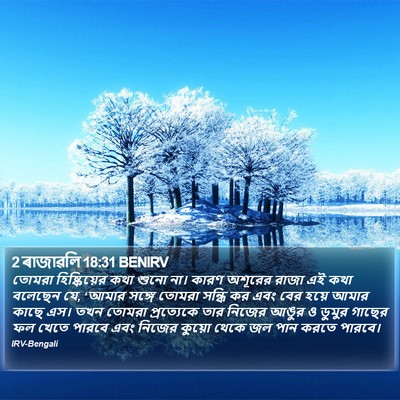 2 ৰাজাৱলি 18:31 BENIRV Bible Verse Image