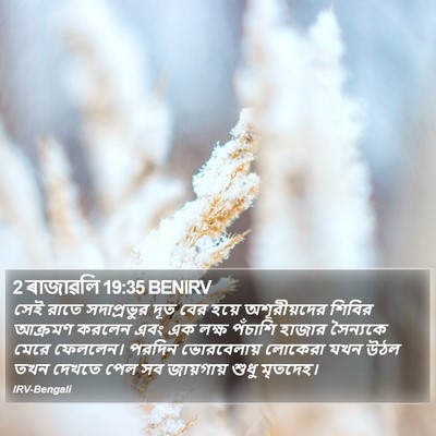 2 ৰাজাৱলি 19:35 BENIRV Bible Verse Image