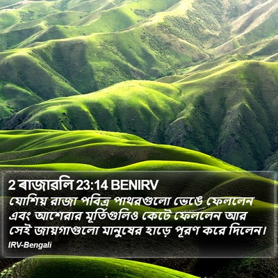 2 ৰাজাৱলি 23:14 BENIRV Bible Verse Image