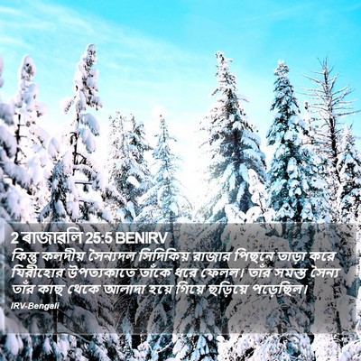 2 ৰাজাৱলি 25:5 BENIRV Bible Verse Image