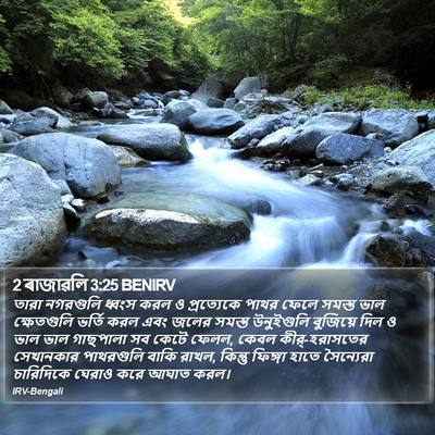 2 ৰাজাৱলি 3:25 BENIRV Bible Verse Image
