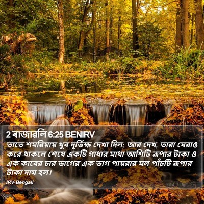 2 ৰাজাৱলি 6:25 BENIRV Bible Verse Image