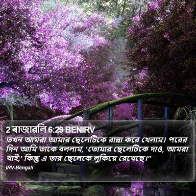 2 ৰাজাৱলি 6:29 BENIRV Bible Verse Image