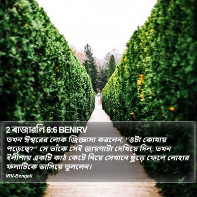 2 ৰাজাৱলি 6:6 BENIRV Bible Verse Image