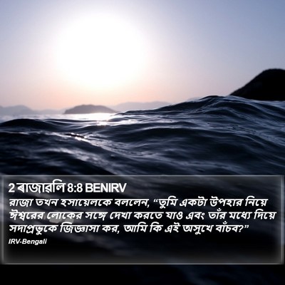 2 ৰাজাৱলি 8:8 BENIRV Bible Verse Image