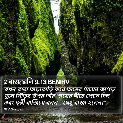 2 ৰাজাৱলি 9:13 BENIRV Bible Verse Image