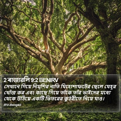 2 ৰাজাৱলি 9:2 BENIRV Bible Verse Image