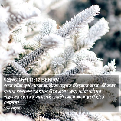 पপ্রত্যাদেশ 11:12 BENIRV Bible Verse Image