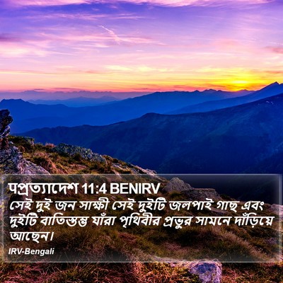 पপ্রত্যাদেশ 11:4 BENIRV Bible Verse Image