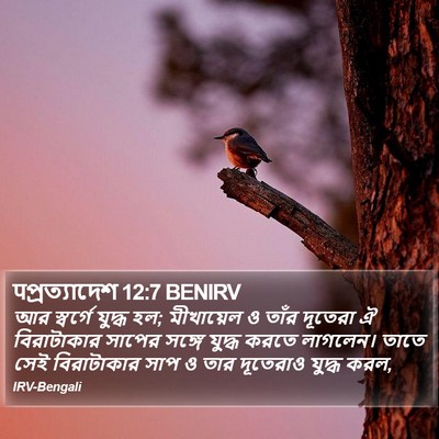 पপ্রত্যাদেশ 12:7 BENIRV Bible Verse Image