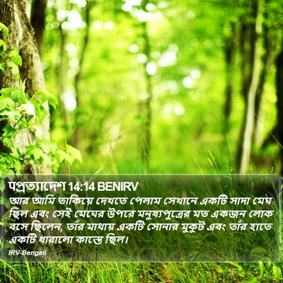 पপ্রত্যাদেশ 14:14 BENIRV Bible Verse Image