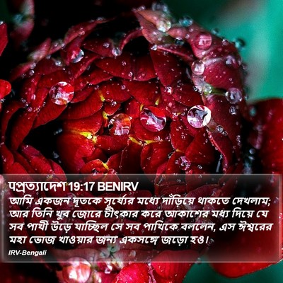 पপ্রত্যাদেশ 19:17 BENIRV Bible Verse Image