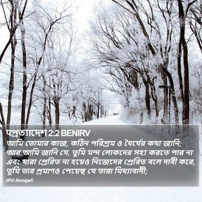 पপ্রত্যাদেশ 2:2 BENIRV Bible Verse Image