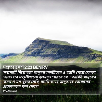 पপ্রত্যাদেশ 2:23 BENIRV Bible Verse Image