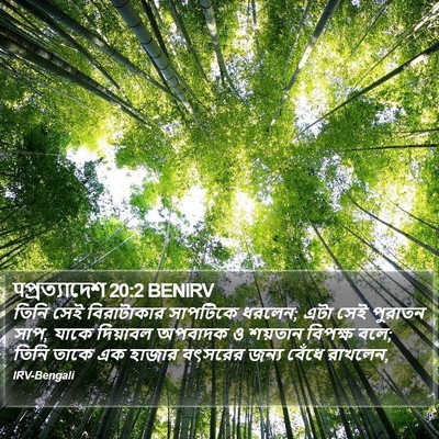 पপ্রত্যাদেশ 20:2 BENIRV Bible Verse Image