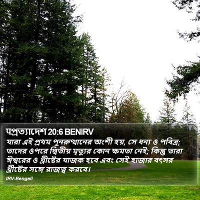पপ্রত্যাদেশ 20:6 BENIRV Bible Verse Image