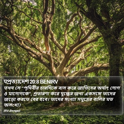 पপ্রত্যাদেশ 20:8 BENIRV Bible Verse Image