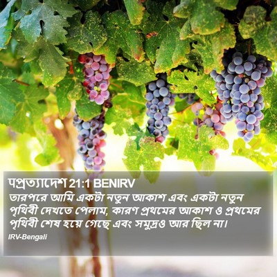 पপ্রত্যাদেশ 21:1 BENIRV Bible Verse Image