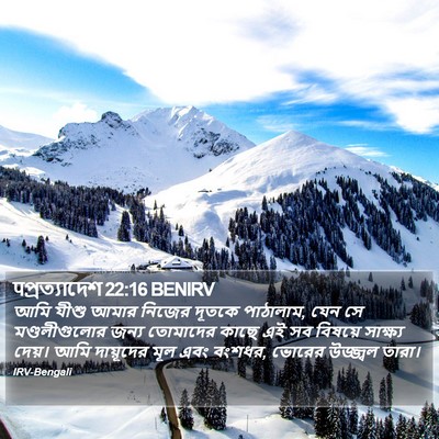 पপ্রত্যাদেশ 22:16 BENIRV Bible Verse Image