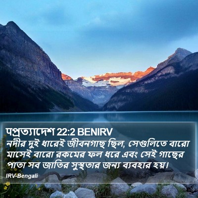 पপ্রত্যাদেশ 22:2 BENIRV Bible Verse Image